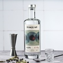 Gin BACCAE de Paris - 40% 70cl