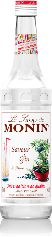 Sirop Gin 70cl - MONIN