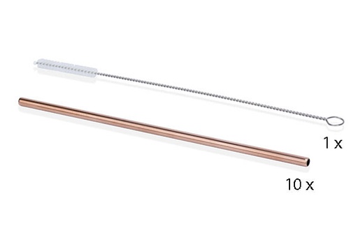 10x Pailles Inox Cuivré + Goupillon