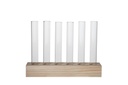 6x Verres éprouvettes sur support en bois