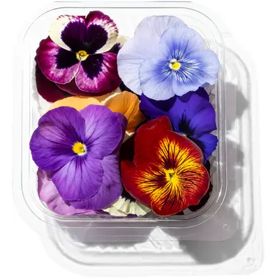 Fleurs fraiches Pensées mixte - barquette 30g (France)