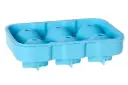 Moule x6 Ice ball Silicone 18x12xØ4.5cm