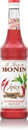 Sirop Spicy 70cl - MONIN