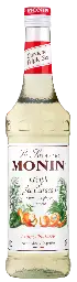 Sirop Curaçao Triple Sec 70cl - MONIN  